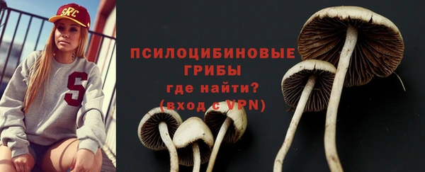 apvp Алзамай