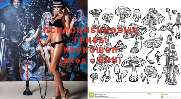 ГАЛЛЮЦИНОГЕННЫЕ ГРИБЫ Абдулино
