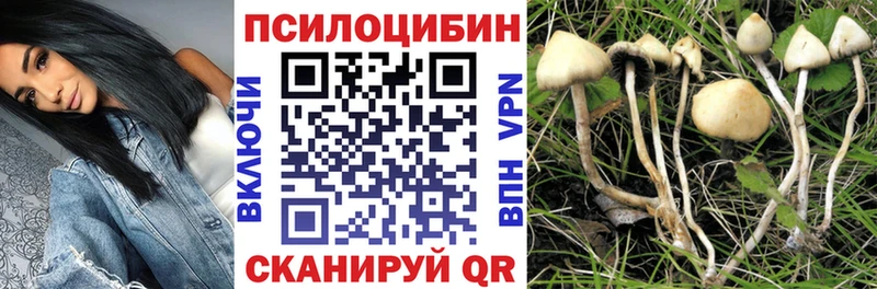 Галлюциногенные грибы Psilocybine cubensis  МЕГА онион  Камызяк 